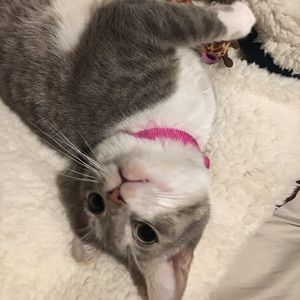 Meet your Posher, Corina